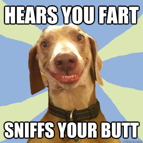 hears you fart sniffs your butt  Disgusting Doggy