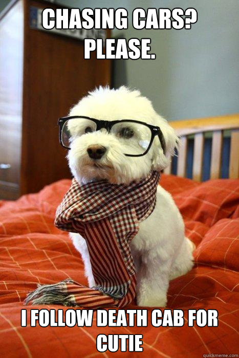 CHASING CARS? PLEASE. I FOLLOW DEATH CAB FOR CUTIE - CHASING CARS? PLEASE. I FOLLOW DEATH CAB FOR CUTIE  Hipster Dog