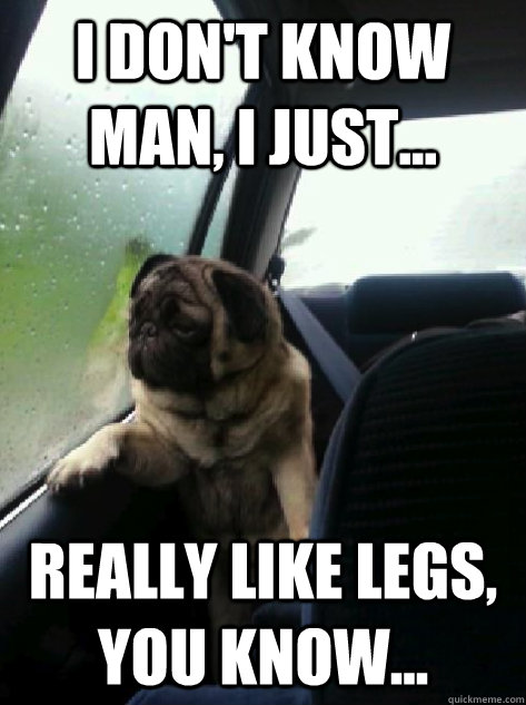 I don't know man, I just... Really like legs, you know... - I don't know man, I just... Really like legs, you know...  Introspective Pug