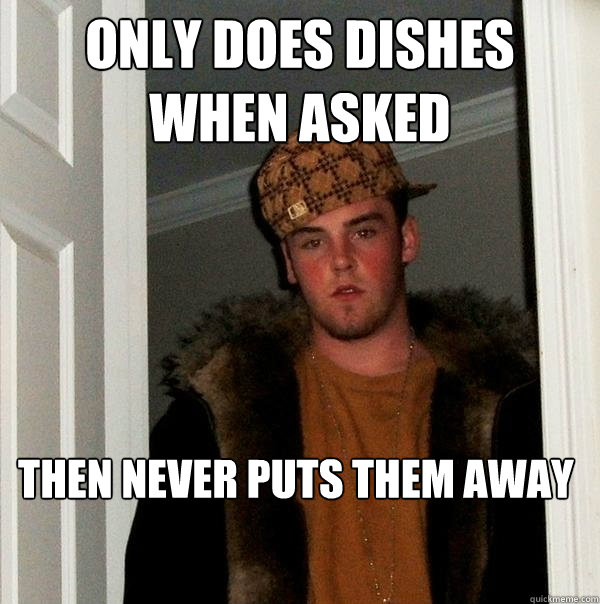 Only Does Dishes When Asked Then Never Puts Them Away Scumbag Steve 1378