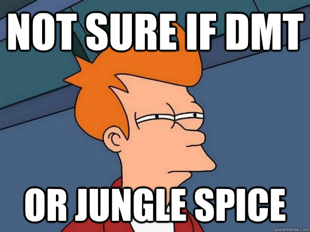 Not sure if DMT or jungle spice  Futurama Fry