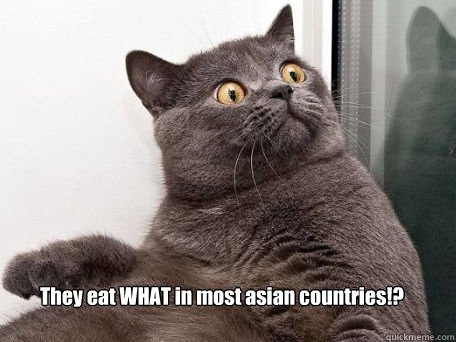  They eat WHAT in most asian countries!?  conspiracy cat