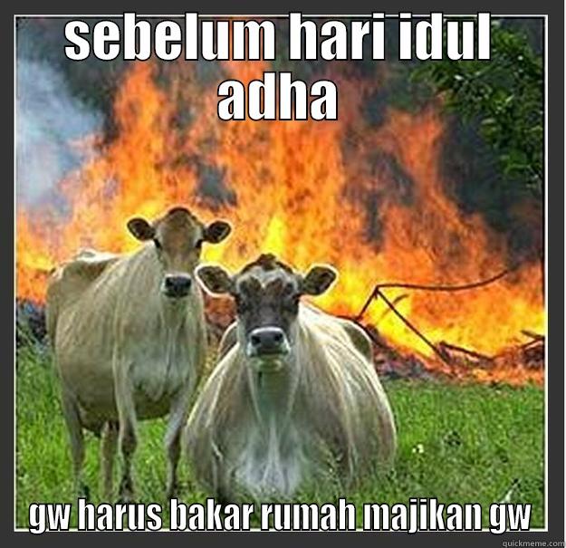 evil cow - SEBELUM HARI IDUL ADHA GW HARUS BAKAR RUMAH MAJIKAN GW Evil cows