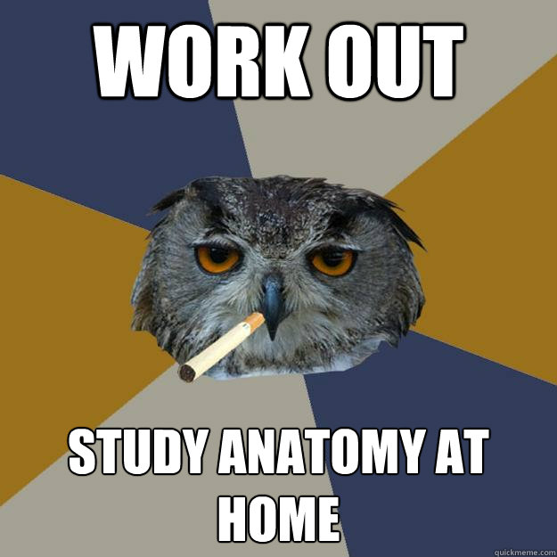 Work Out Study anatomy at home - Work Out Study anatomy at home  Art Student Owl