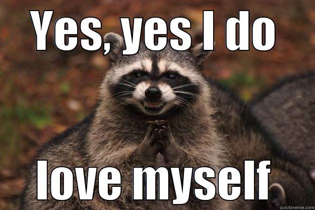 raccoon love - YES, YES I DO LOVE MYSELF Evil Plotting Raccoon