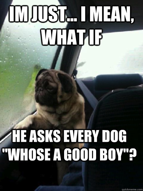 Im just... I mean, what if he asks every dog 