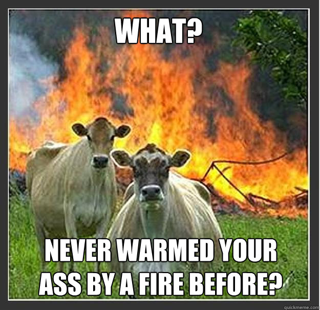 What? Never warmed your ass by a fire before?  Evil cows