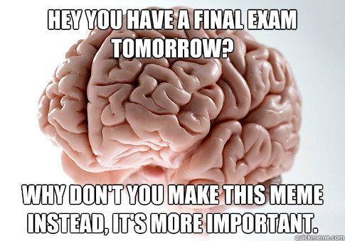 hey you have a final exam tomorrow? why don't you make this meme instead, it's more important.  Scumbag Brain