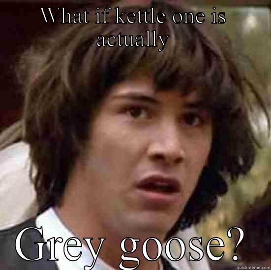 WHAT IF KETTLE ONE IS ACTUALLY GREY GOOSE? conspiracy keanu