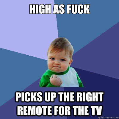 High as fuck Picks up the right remote for the tv  Success Kid