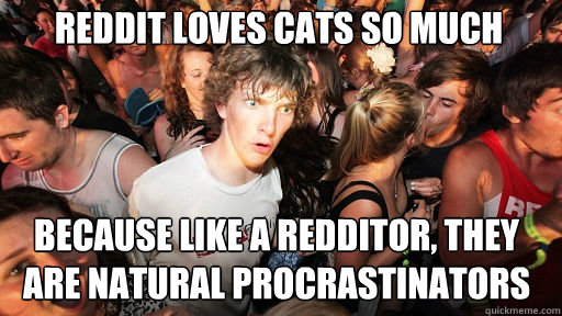 Reddit loves cats so much because like a redditor, they are natural procrastinators  Sudden Clarity Clarence