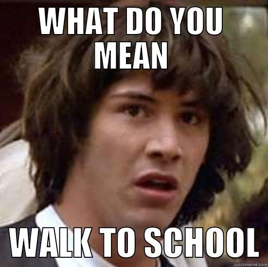 WHAT DO YOU MEAN   WALK TO SCHOOL conspiracy keanu