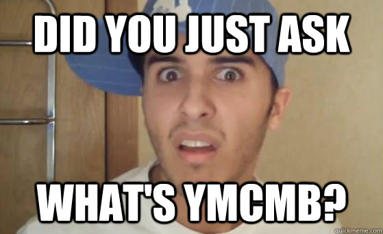 DID YOU JUST ASK WHAT'S YMCMB?  Typical Lil Wayne Fan