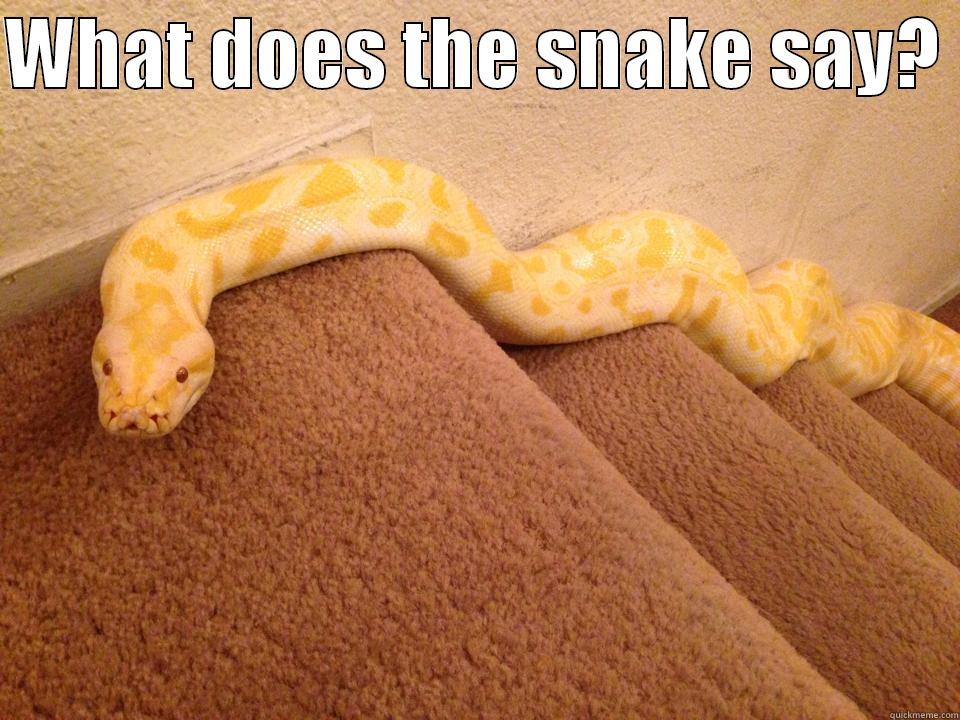 What does the snake say? - WHAT DOES THE SNAKE SAY?   Misc