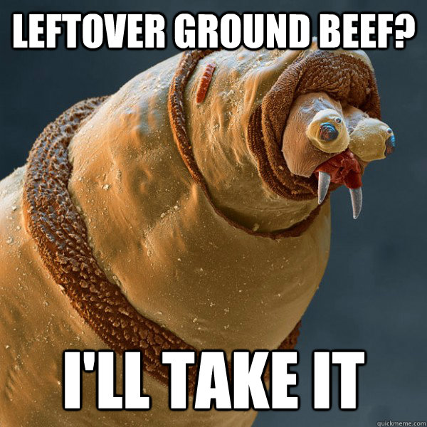 leftover ground beef? i'll take it - leftover ground beef? i'll take it  Helpful Maggot