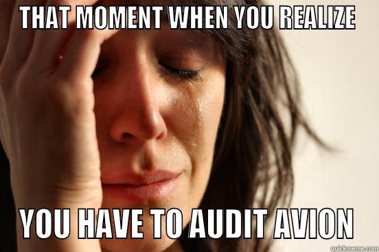 THAT MOMENT WHEN YOU REALIZE YOU HAVE TO AUDIT AVION First World Problems