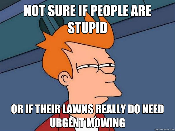 Not sure if people are stupid Or if their lawns really do need urgent mowing   Futurama Fry