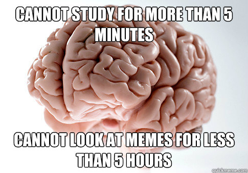 cannot study for more than 5 minutes cannot look at memes for less than 5 hours  Scumbag Brain