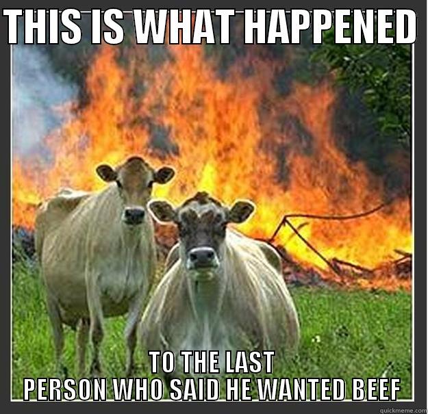 THIS IS WHAT HAPPENED  TO THE LAST PERSON WHO SAID HE WANTED BEEF Evil cows