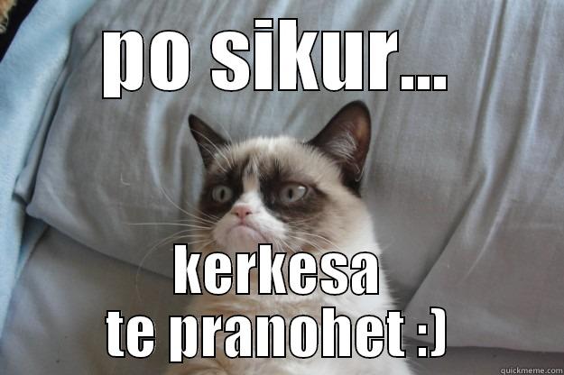 PO SIKUR... KERKESA TE PRANOHET :) Grumpy Cat