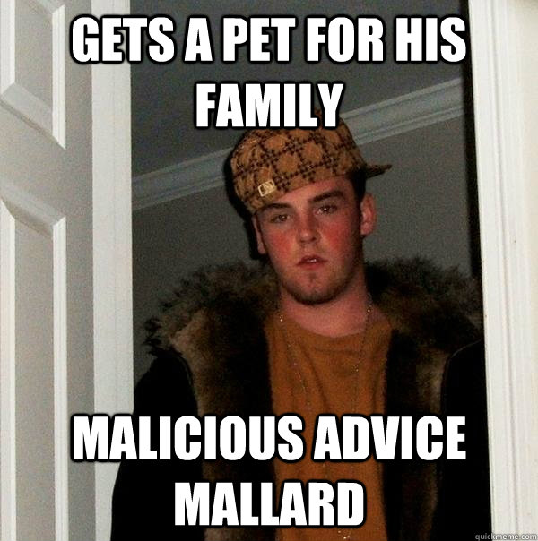 Gets a pet for his family  malicious advice mallard   Scumbag Steve