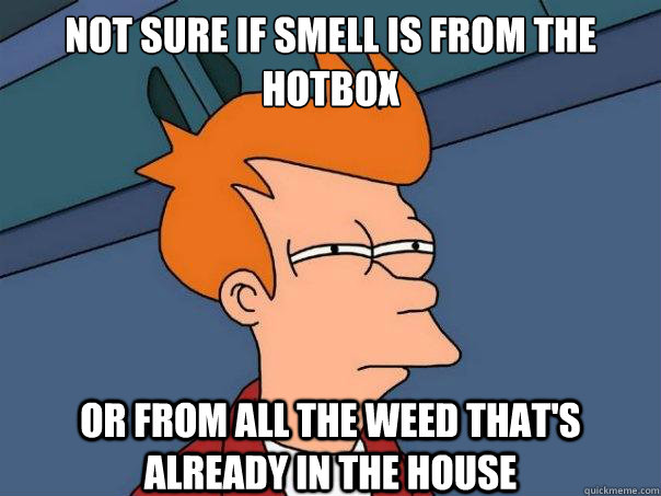 Not sure if smell is from the hotbox or from all the weed that's already in the house - Not sure if smell is from the hotbox or from all the weed that's already in the house  Futurama Fry