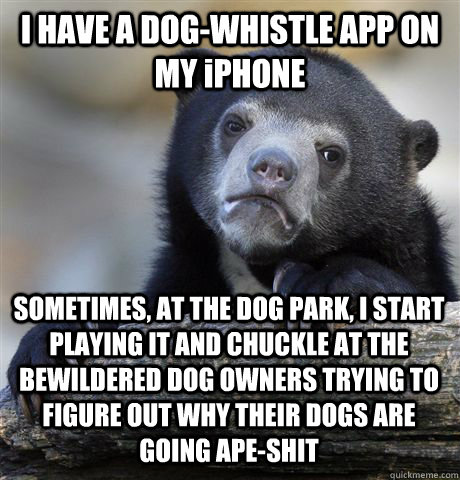 I HAVE A DOG-WHISTLE APP ON MY iPHONE SOMETIMES, AT THE DOG PARK, I START PLAYING IT AND CHUCKLE AT THE BEWILDERED DOG OWNERS TRYING TO FIGURE OUT WHY THEIR DOGS ARE GOING APE-SHIT - I HAVE A DOG-WHISTLE APP ON MY iPHONE SOMETIMES, AT THE DOG PARK, I START PLAYING IT AND CHUCKLE AT THE BEWILDERED DOG OWNERS TRYING TO FIGURE OUT WHY THEIR DOGS ARE GOING APE-SHIT  Confession Bear