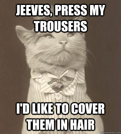 Jeeves, press my trousers  I'd like to cover them in hair   Aristocat