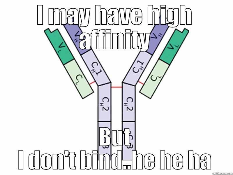 Antibody bind (bites) back - I MAY HAVE HIGH AFFINITY BUT I DON'T BIND..HE HE HA Misc