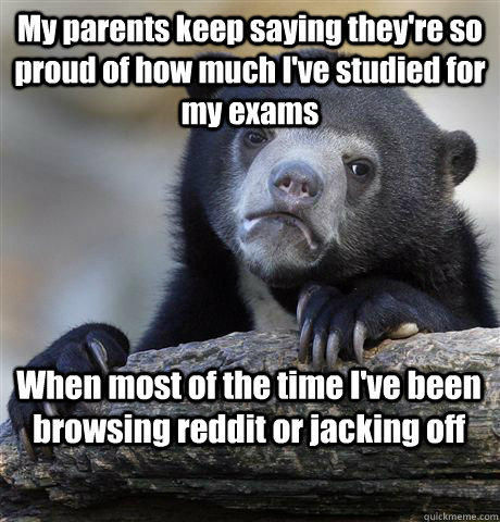 My parents keep saying they're so proud of how much I've studied for my exams When most of the time I've been browsing reddit or jacking off  Confession Bear