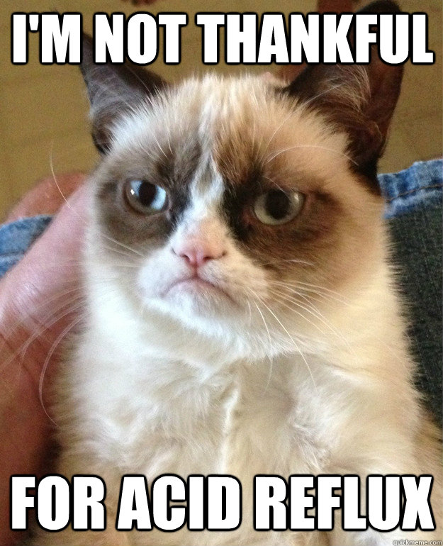 I'm not thankful for acid reflux  Grumpy Cat