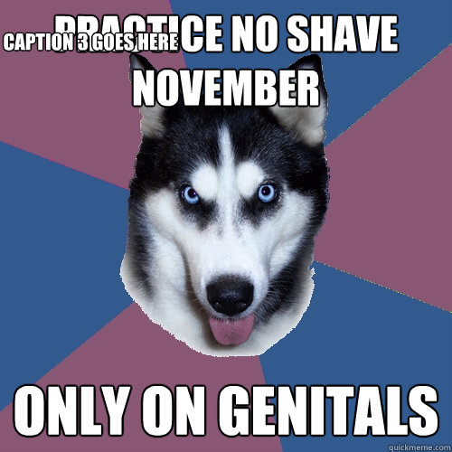 practice no shave November only on genitals Caption 3 goes here - practice no shave November only on genitals Caption 3 goes here  Creeper Canine