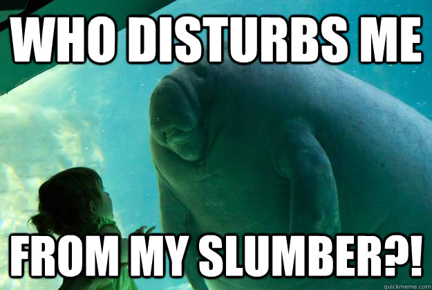 Who disturbs me  from my slumber?! - Who disturbs me  from my slumber?!  Overlord Manatee