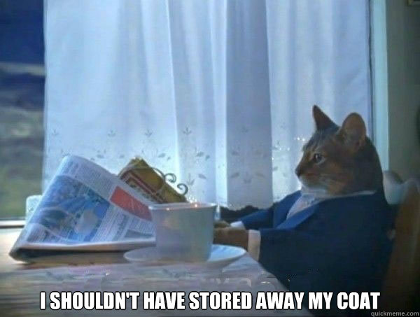  I shouldn't have stored away my coat  morning realization newspaper cat meme