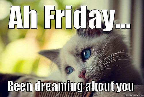 Friday Cat - AH FRIDAY... BEEN DREAMING ABOUT YOU First World Problems Cat