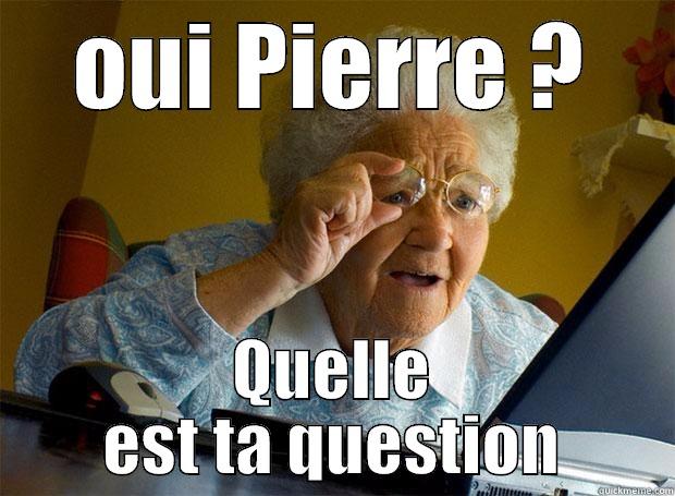 OUI PIERRE ? QUELLE EST TA QUESTION Grandma finds the Internet