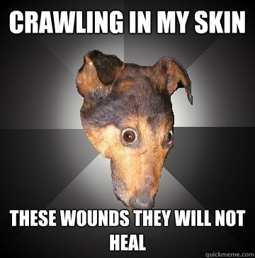 crawling in my skin these wounds they will not heal  Depression Dog