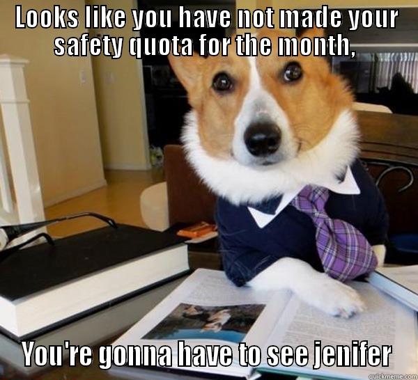 LOOKS LIKE YOU HAVE NOT MADE YOUR SAFETY QUOTA FOR THE MONTH,  YOU'RE GONNA HAVE TO SEE JENIFER Lawyer Dog