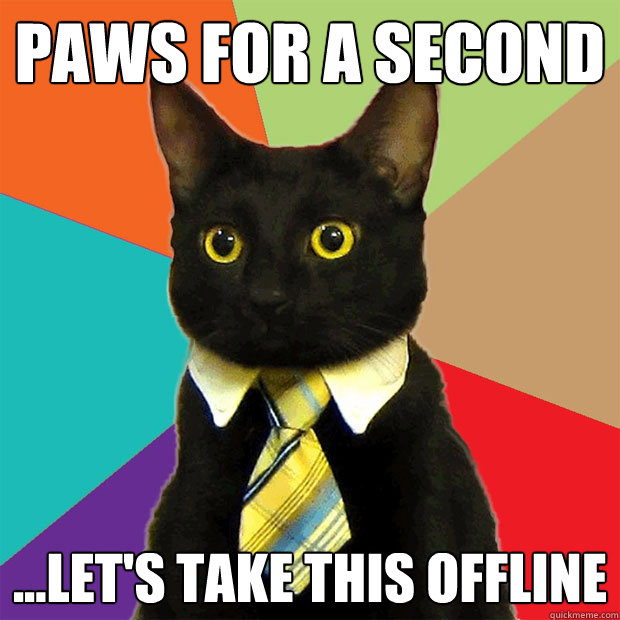 Paws for a second ...let's take this offline  Business Cat