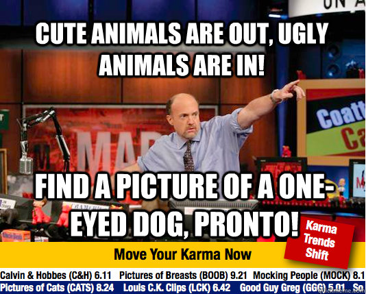 Cute animals are out, ugly animals are in! Find a picture of a one-eyed dog, pronto!  Mad Karma with Jim Cramer