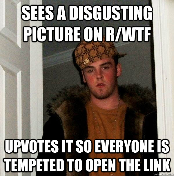 Sees a disgusting picture on r/WTF upvotes it so everyone is tempeted to open the link  Scumbag Steve