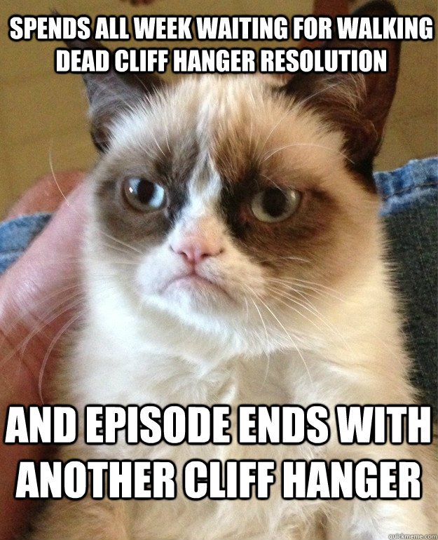 spends all week waiting for walking dead cliff hanger resolution and episode ends with another cliff hanger  Grumpy Cat