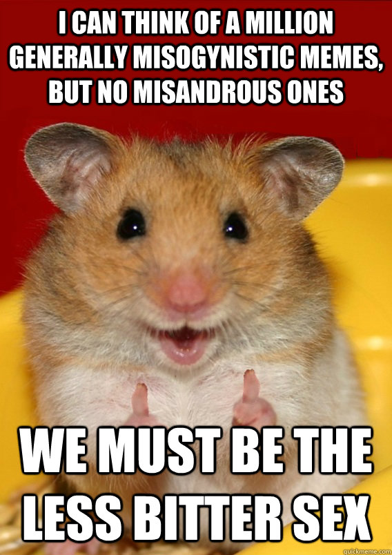 I can think of a million generally misogynistic memes, but no misandrous ones We must be the less bitter sex  - I can think of a million generally misogynistic memes, but no misandrous ones We must be the less bitter sex   Rationalization Hamster