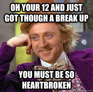 oh your 12 and just got though a break up You must be so heartbroken  Condescending Wonka