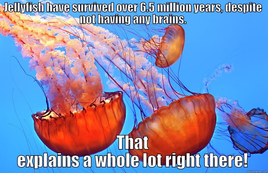 JELLYFISH HAVE SURVIVED OVER 6.5 MILLION YEARS, DESPITE NOT HAVING ANY BRAINS. THAT EXPLAINS A WHOLE LOT RIGHT THERE! Misc