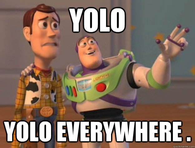 yolo yolo everywhere .  