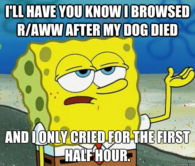 I'll have you know I browsed r/aww after my dog died And I only cried for the first half hour.  Tough Spongebob