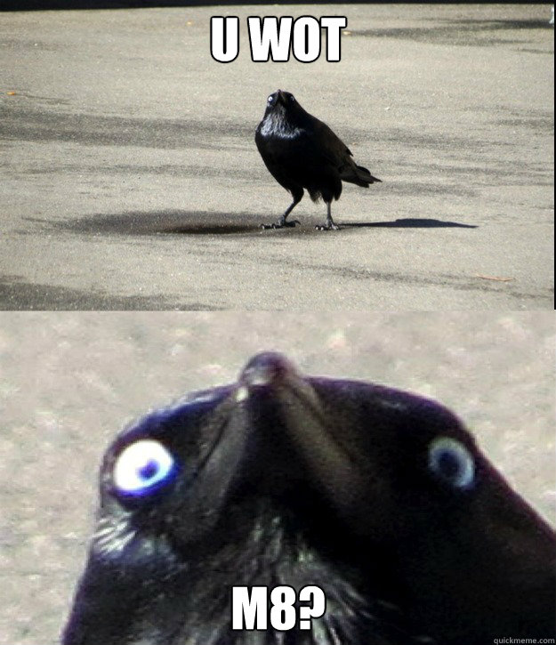 U WOT M8?  Insanity Crow