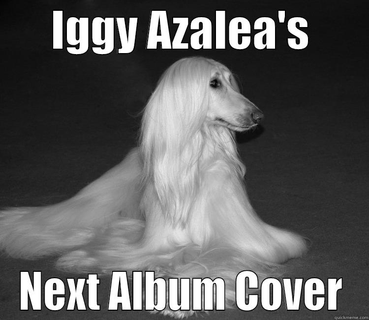 IGGY AZALEA'S NEXT ALBUM COVER Misc