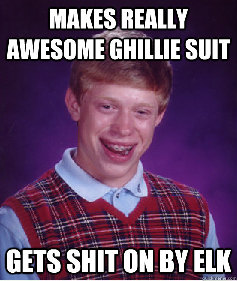 makes really awesome ghillie suit gets shit on by elk  Bad Luck Brian